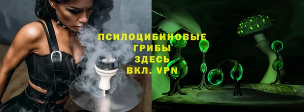 амф Абинск