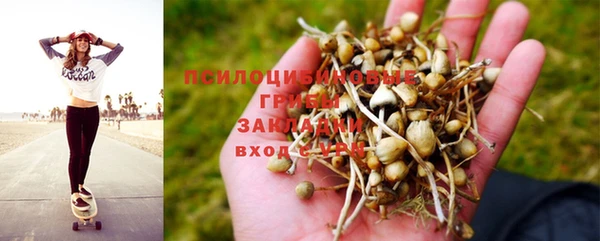 прущая мука Осташков