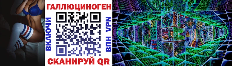 как найти закладки  Ефремов  Псилоцибиновые грибы Psilocybe 